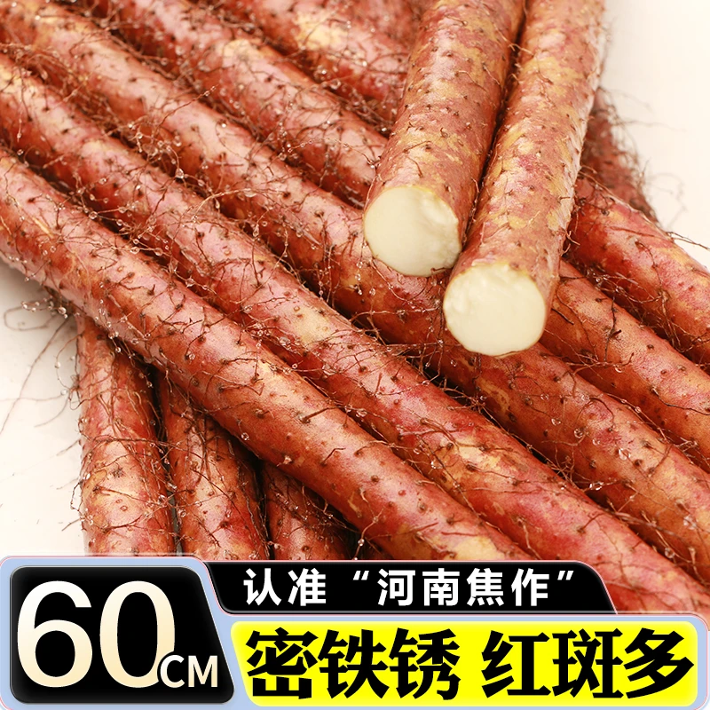 乌鸡土红皮铁棍山药河南焦作新鲜品质原产地温县发货营养健康