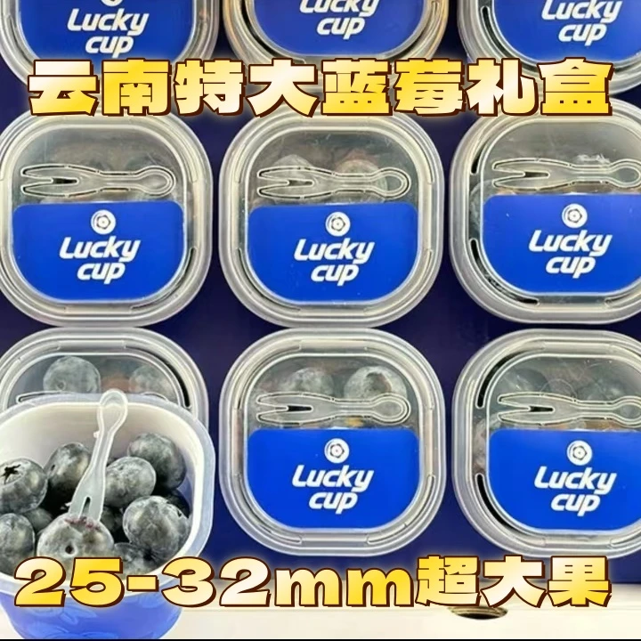 【双旦专享】云南花香l25蓝莓特大蓝莓礼盒新鲜蓝莓