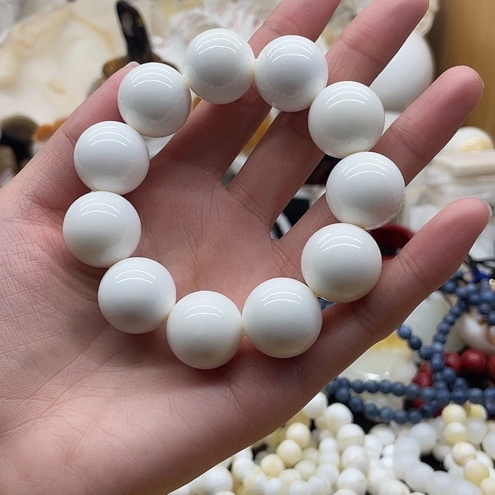 贝壳贝壳贝壳贝贝壳