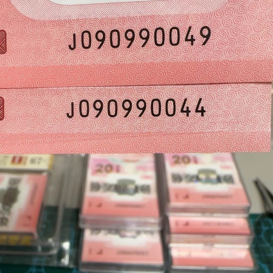 塑料蛇年纪念钞佘山两张