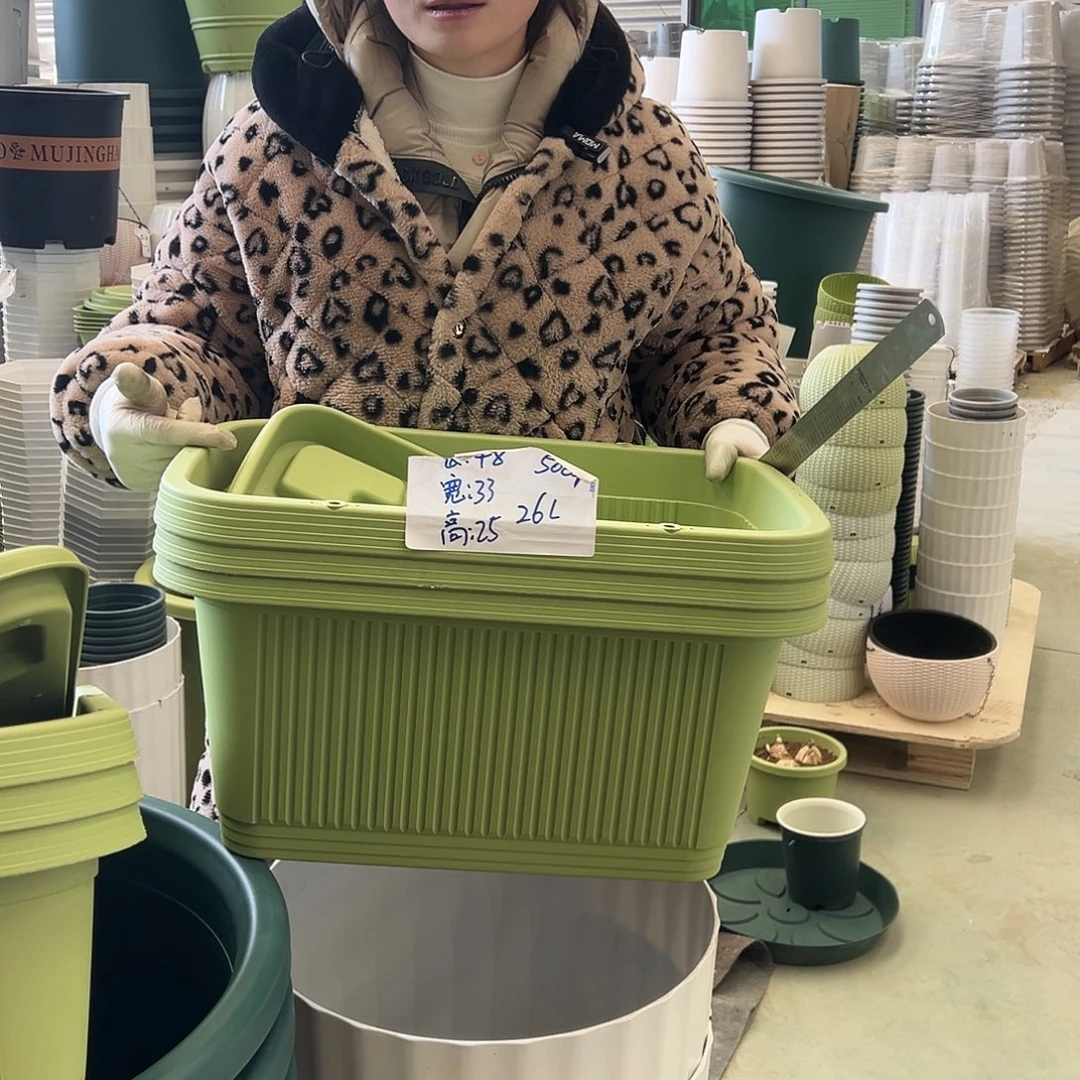 菜盆500#果绿3个（含托）