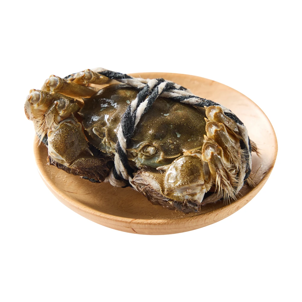 盒马 鲜活大闸蟹(公蟹) 140-160g/只(2.8-3.2两)