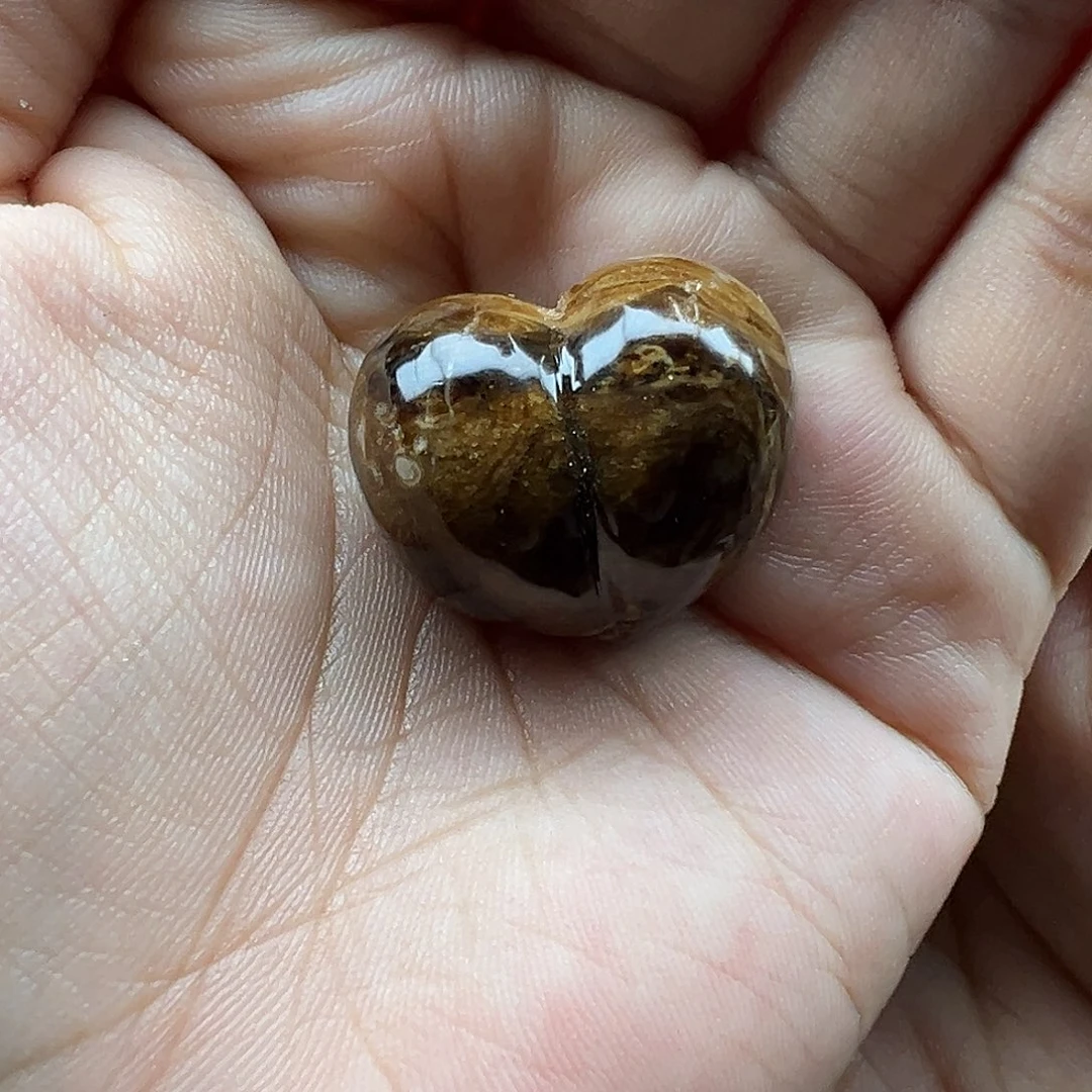 Q***酱琥珀未镶嵌珠宝奇石屁桃打孔不退换