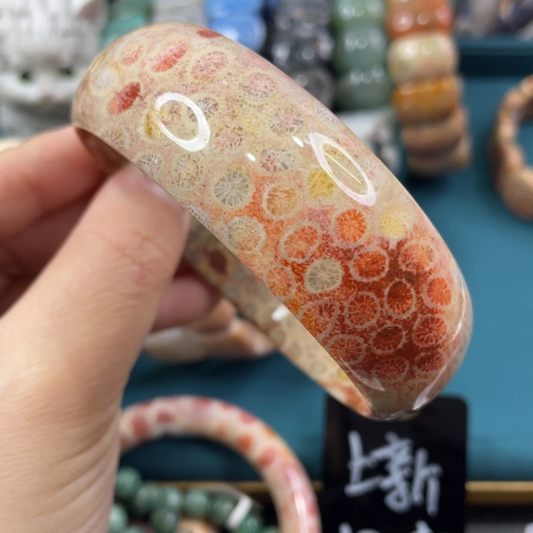 未镶嵌手镯硅化玉