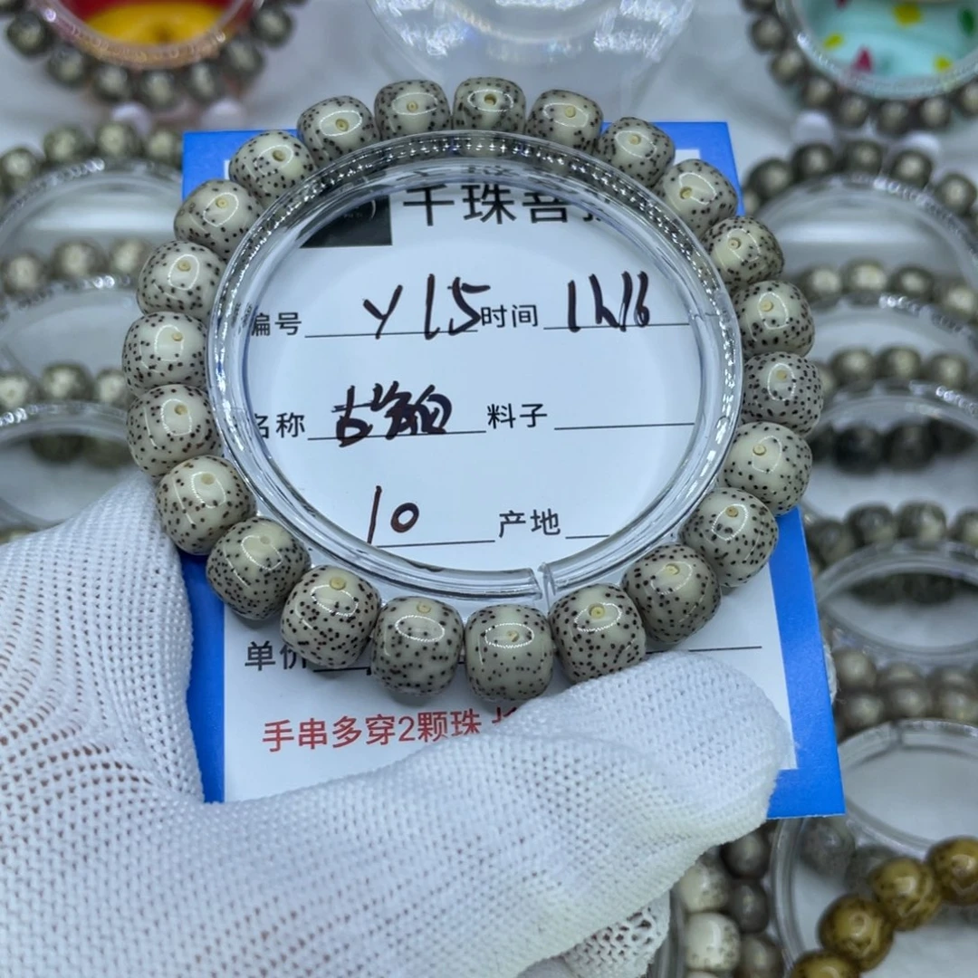 菩提籽类Y15古祠白