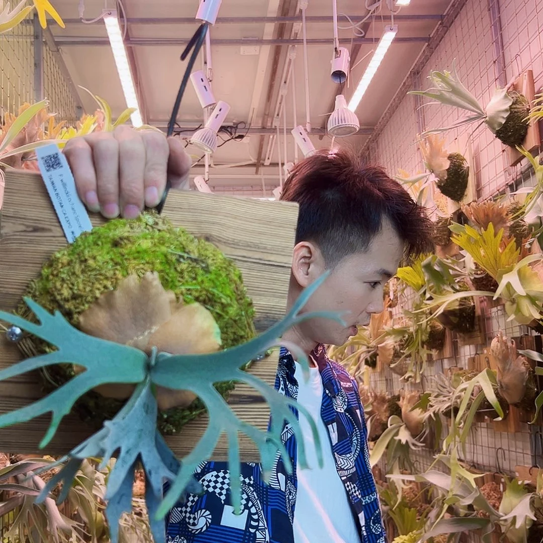 无花朵一Nano。 a28