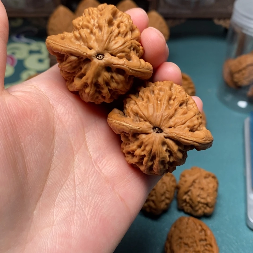 核桃45尺全品金公子