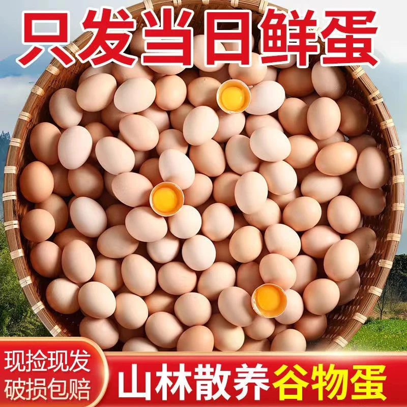 【40枚土鸡蛋】农家散养精挑谷物新鲜鸡蛋