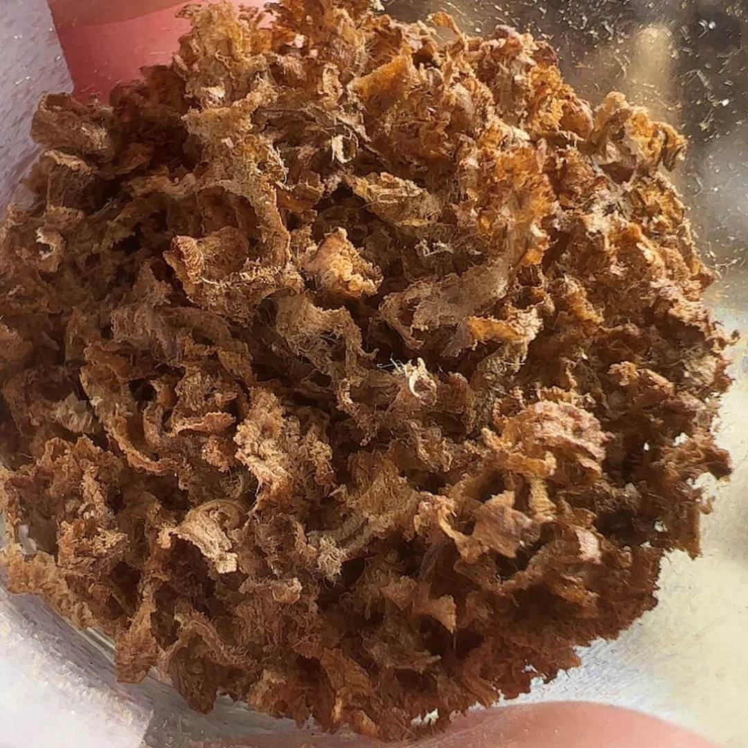 沉香沉香碎屑正区达拉干沉水勾丝1克