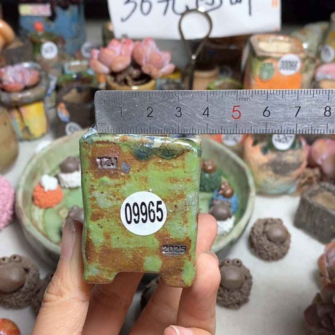 双十一活动不退不退原价38