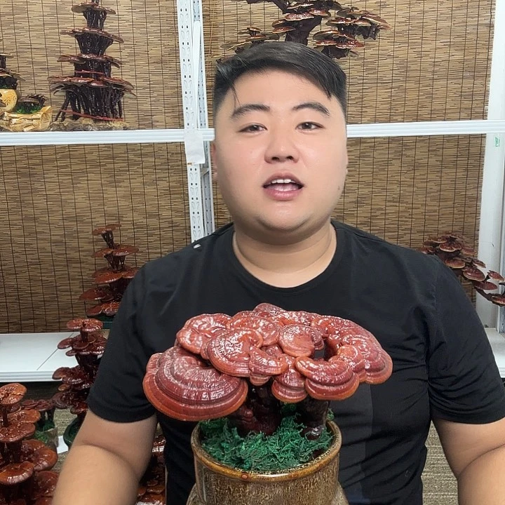 无花朵d****5灵芝花开了