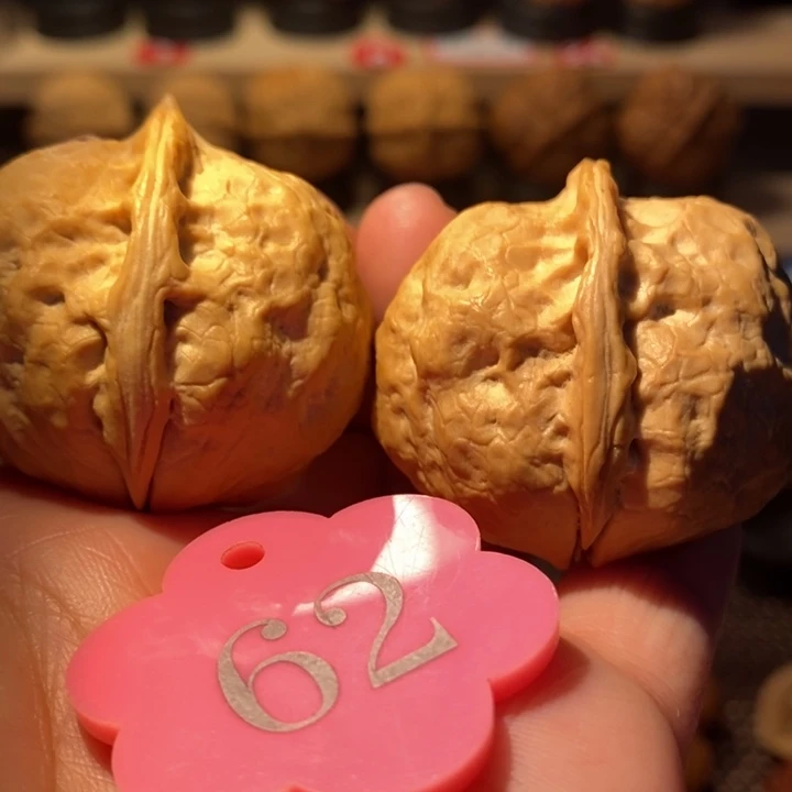 核桃24号车大香炉41尺寸