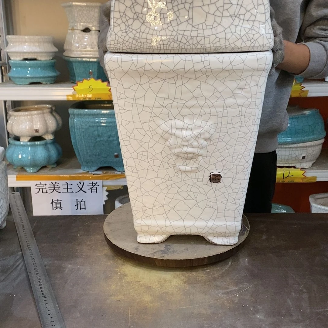 ?**?瑕疵花盆花盆里的花都