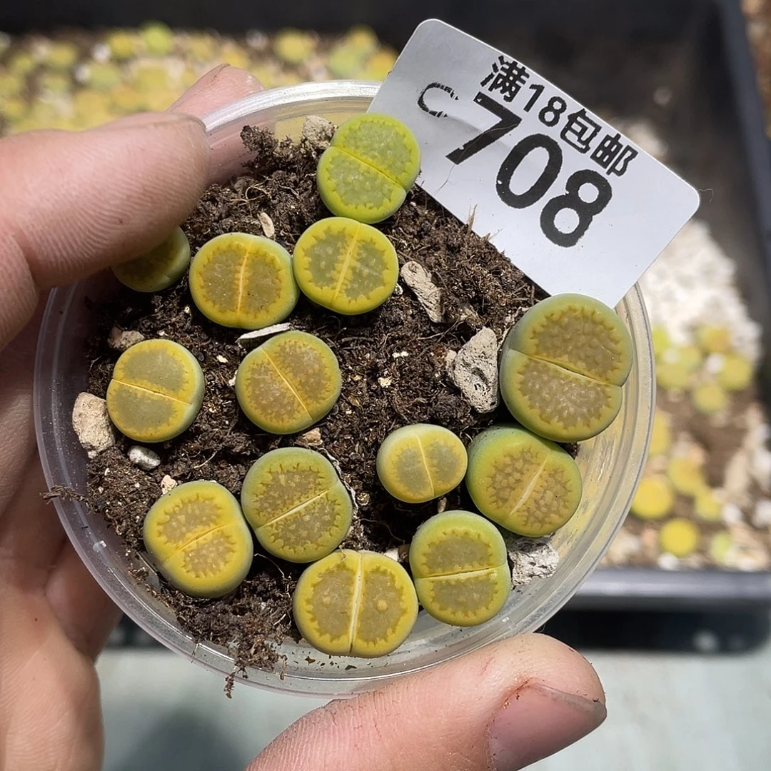 当天凑满十八元包邮708