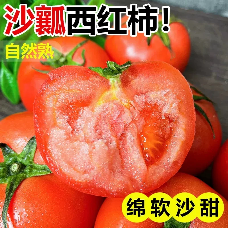 【净重3斤/5斤】北京漷县自产普罗旺斯西红柿现摘先发新鲜【顺丰包邮】