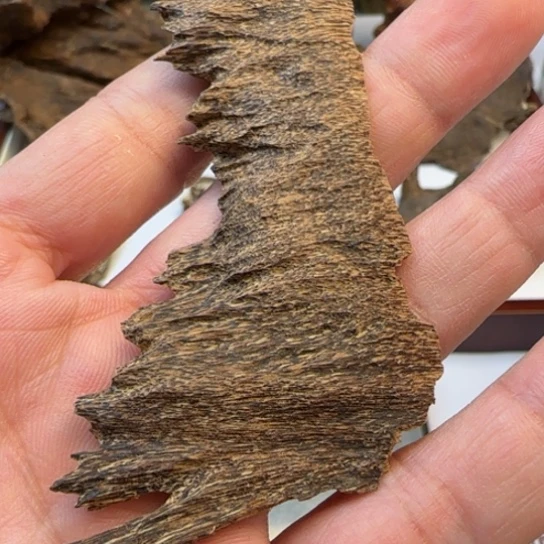 沉香摆件海南吊口沉香3.6克