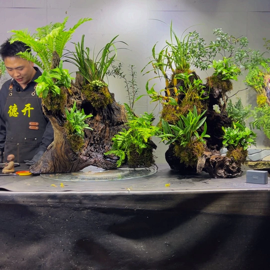 空***司无花朵1111111111111111