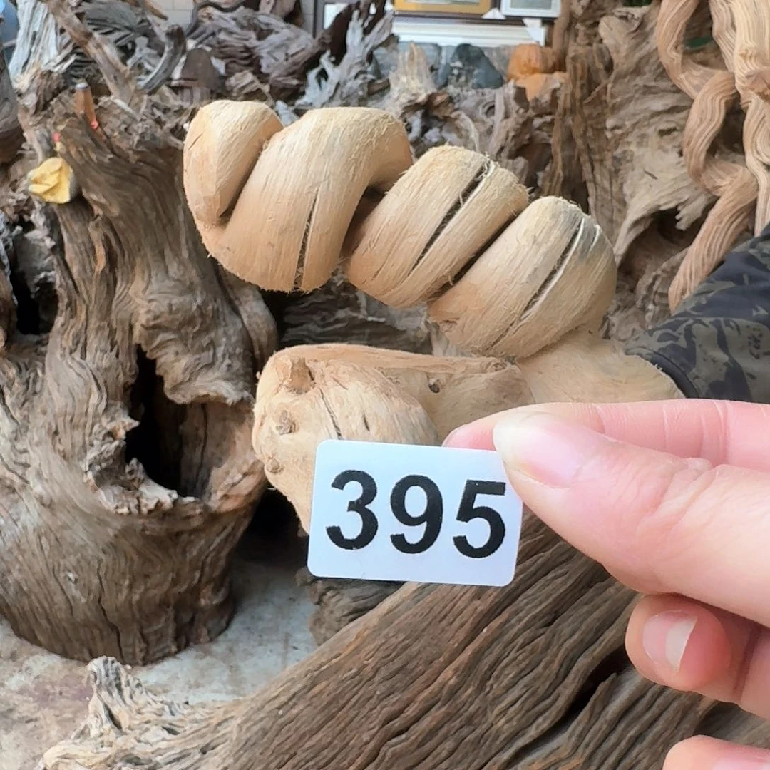 风车木（黑檀木）永*?