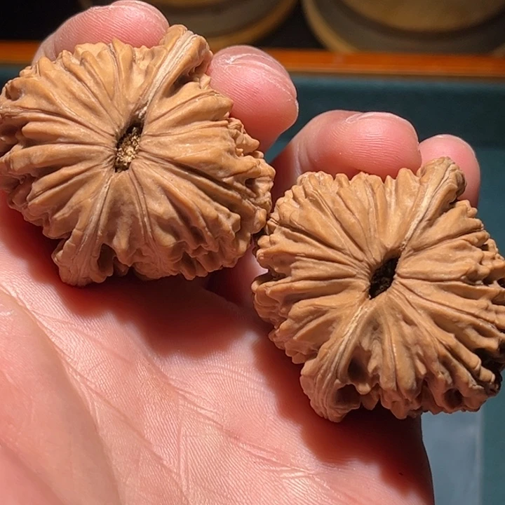 文玩核桃把件k*e41楼子毕业对