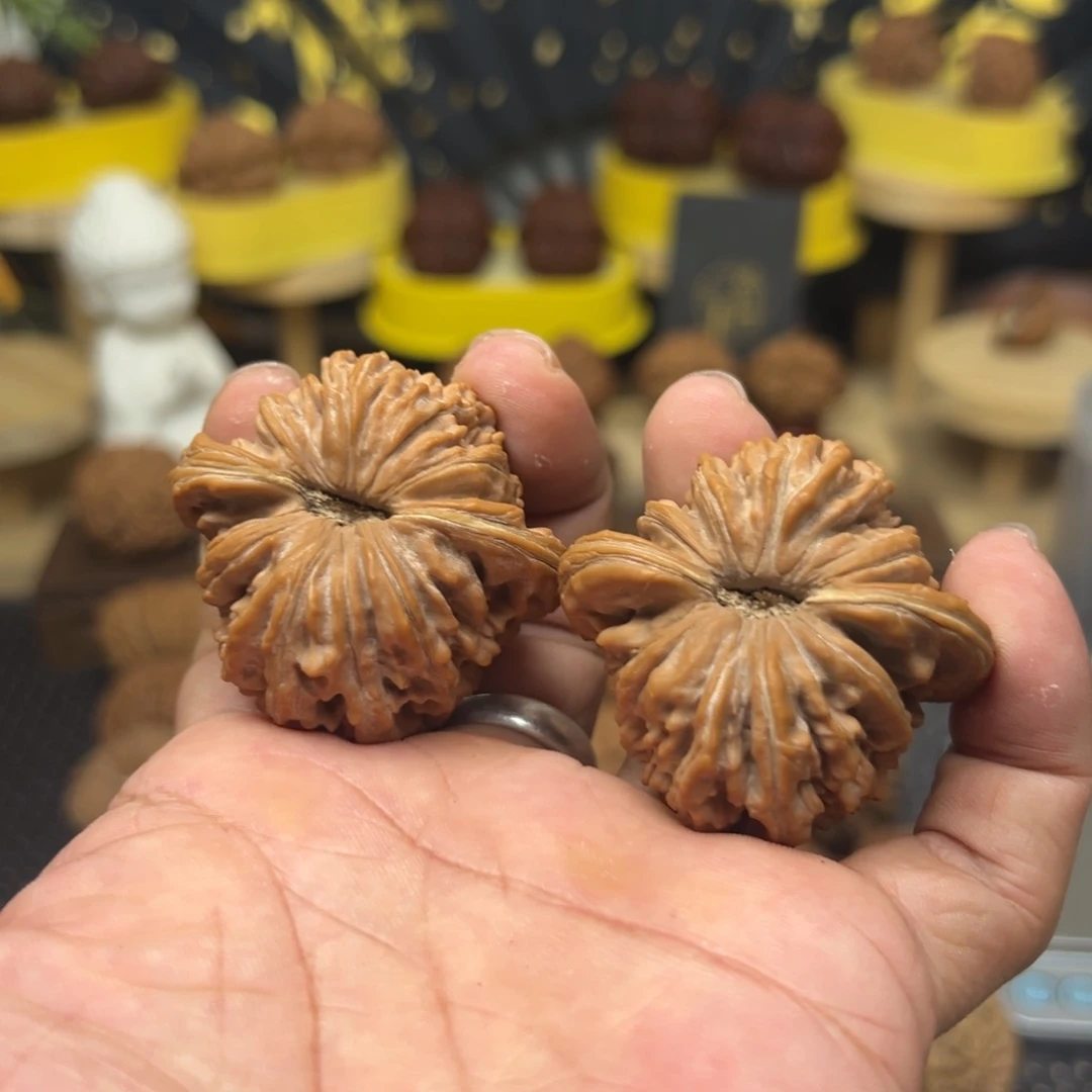 文玩核桃把件布*斯全品四座楼46狮子头4602