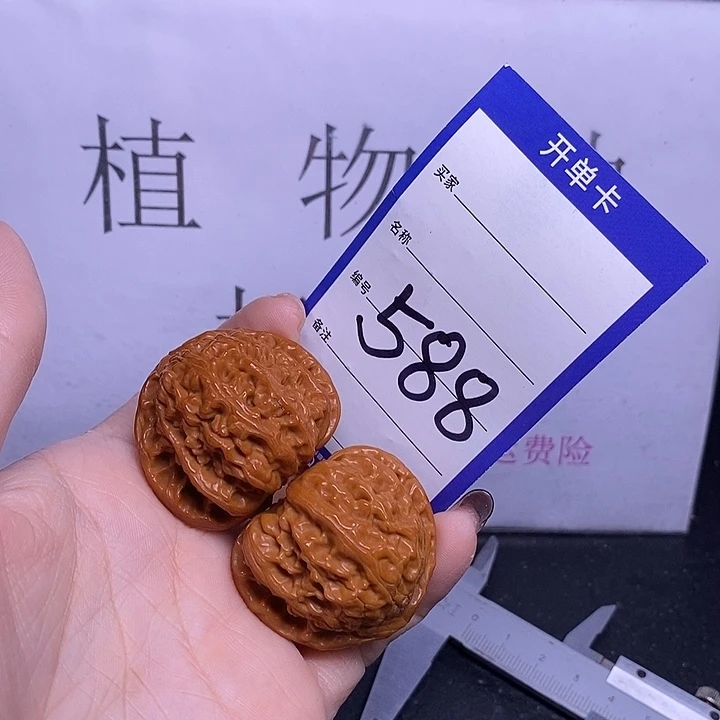 把件文玩核桃588/39白狮子福利