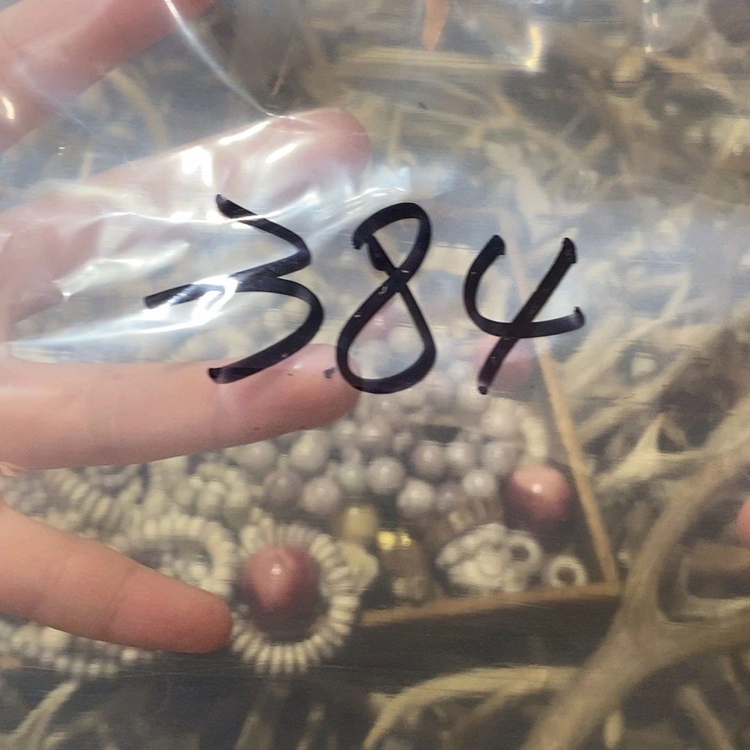非金属鹿角鹿角鹿角