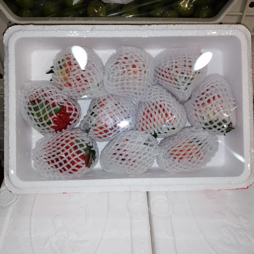 老马岗草莓泡沫箱1盒