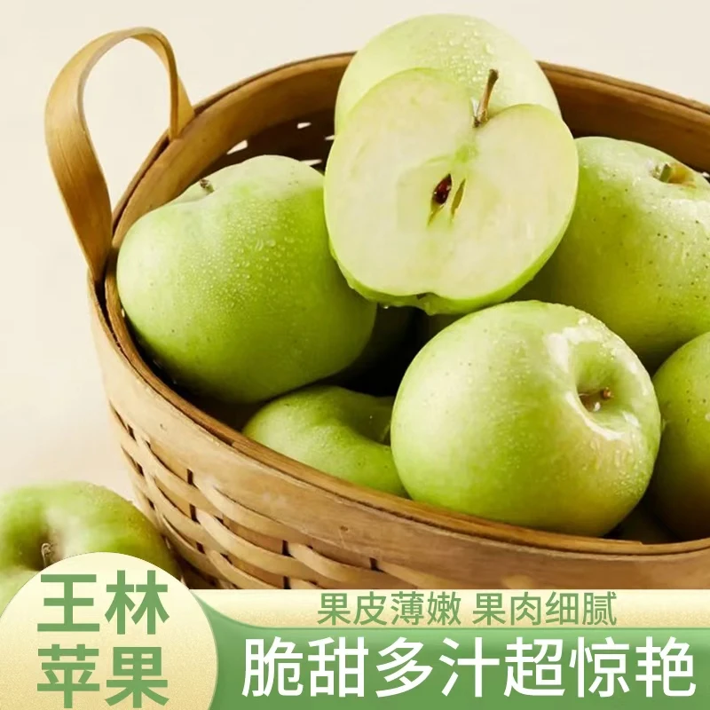 【王林苹果原产地直发】苹果贵族青苹果中的小霸王脆甜多汁
