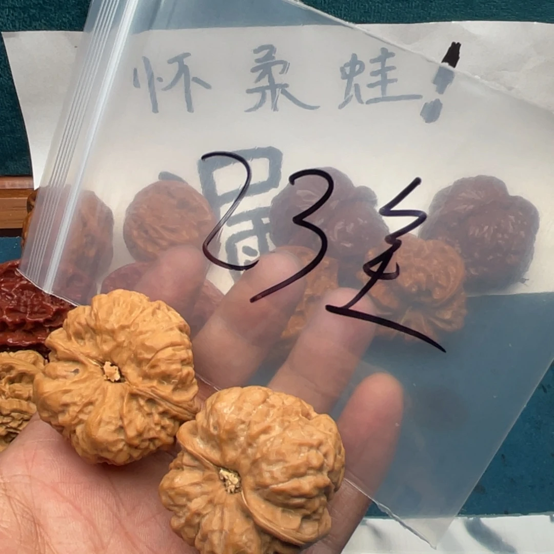 核桃w74997479447974997479749