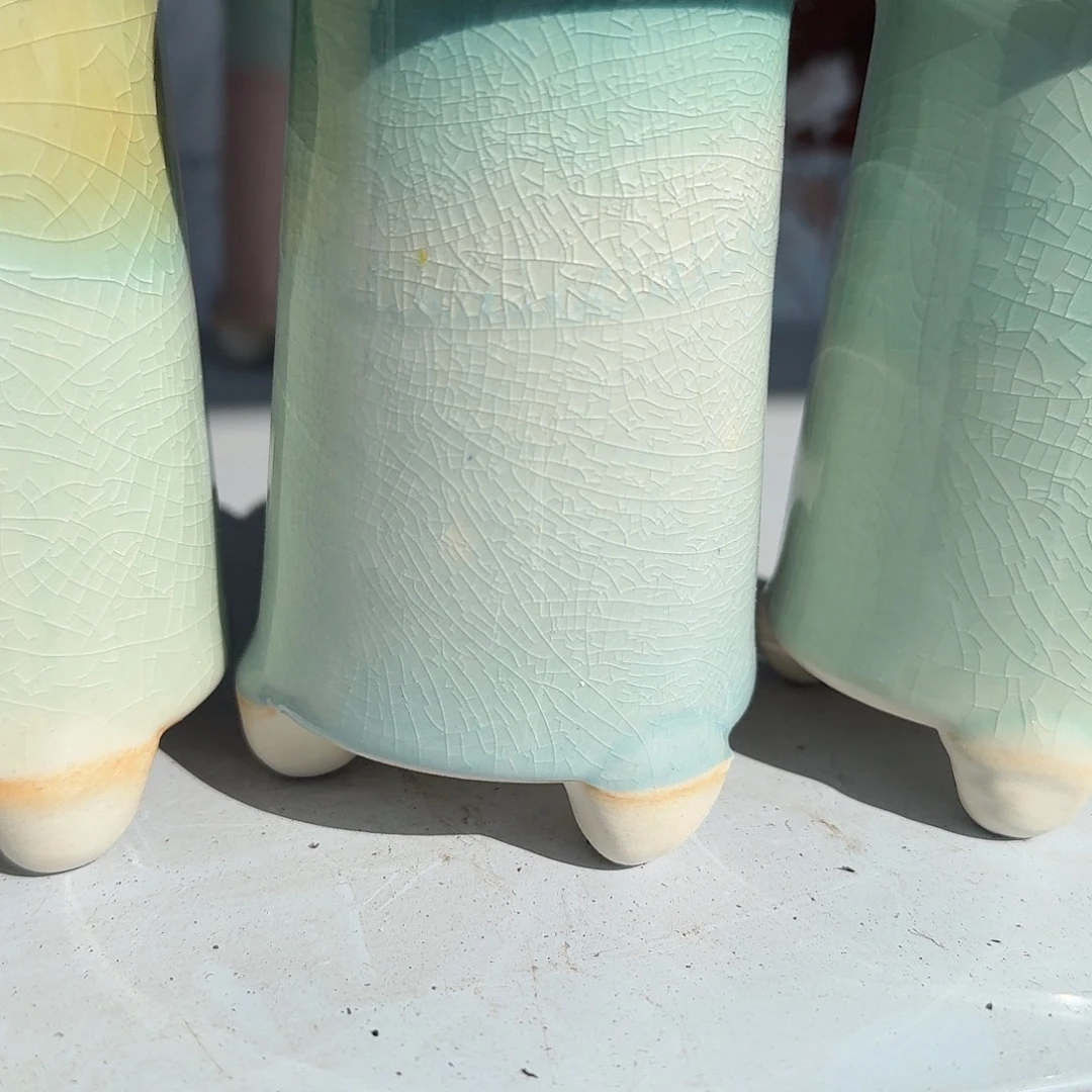 *****蓝色高盆多肉植物