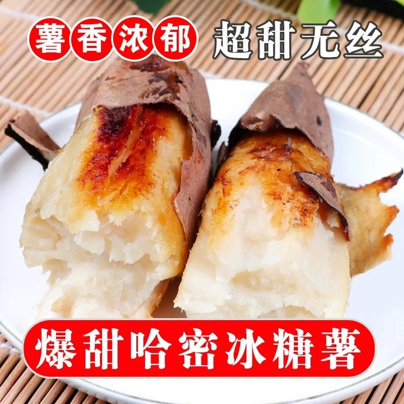 哈密冰糖薯山东沙地新鲜现挖白心糖心蜜薯红薯超甜番地瓜