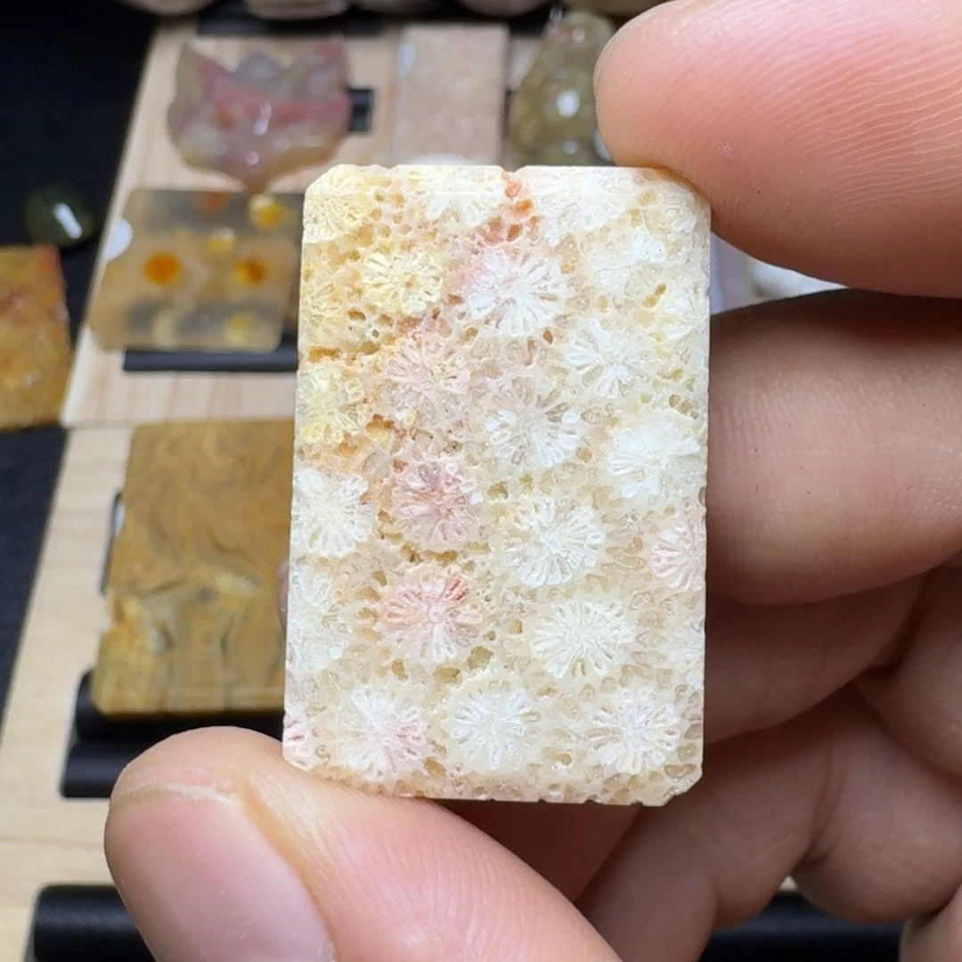 未镶嵌纯天然色有机玉石保真色硅化玉