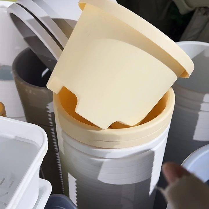 球根26口径5个带托带托米黄