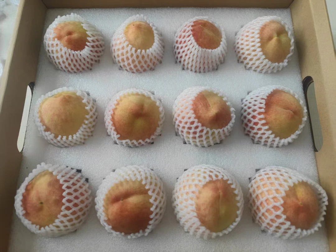 现摘赤水市凤凰山水蜜桃新鲜当季水果软嫩香甜多汁