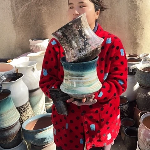 口19高20盆子盆子。