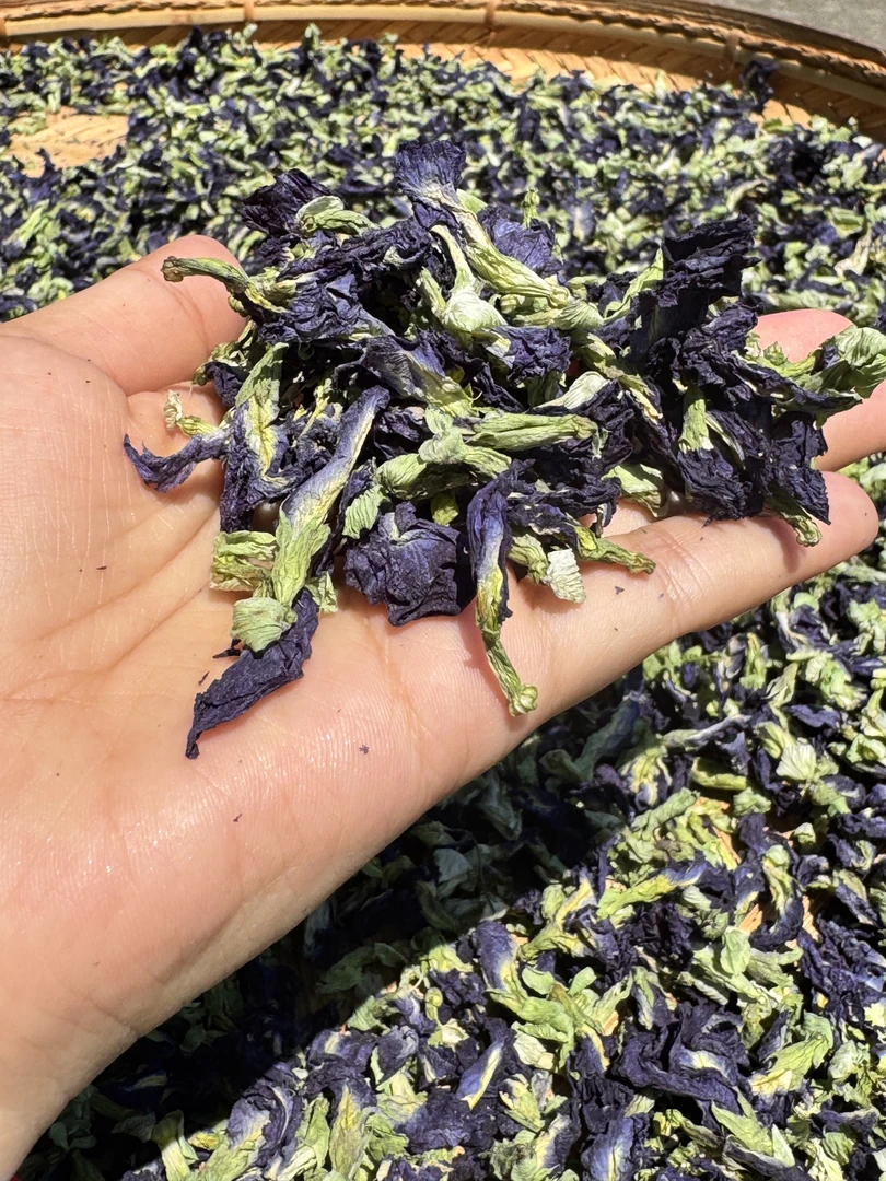 甄选傣家珍藏特产蝶豆花