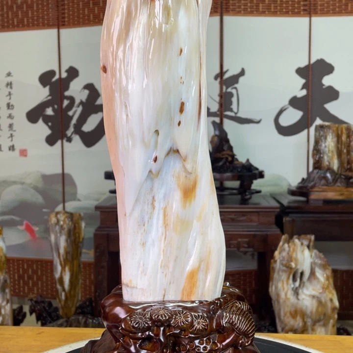 硅化玉未镶嵌珠宝奇石高46