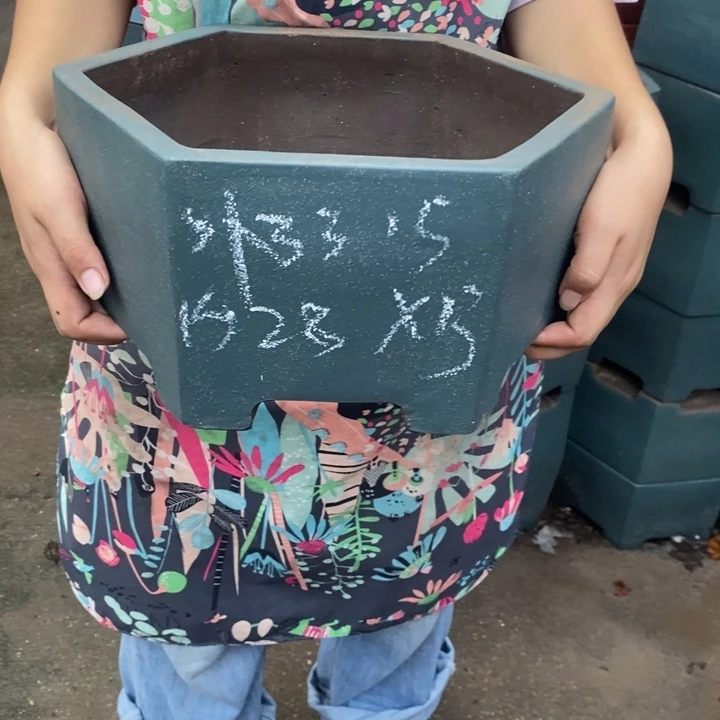 紫砂花盆只顾看手机的日子