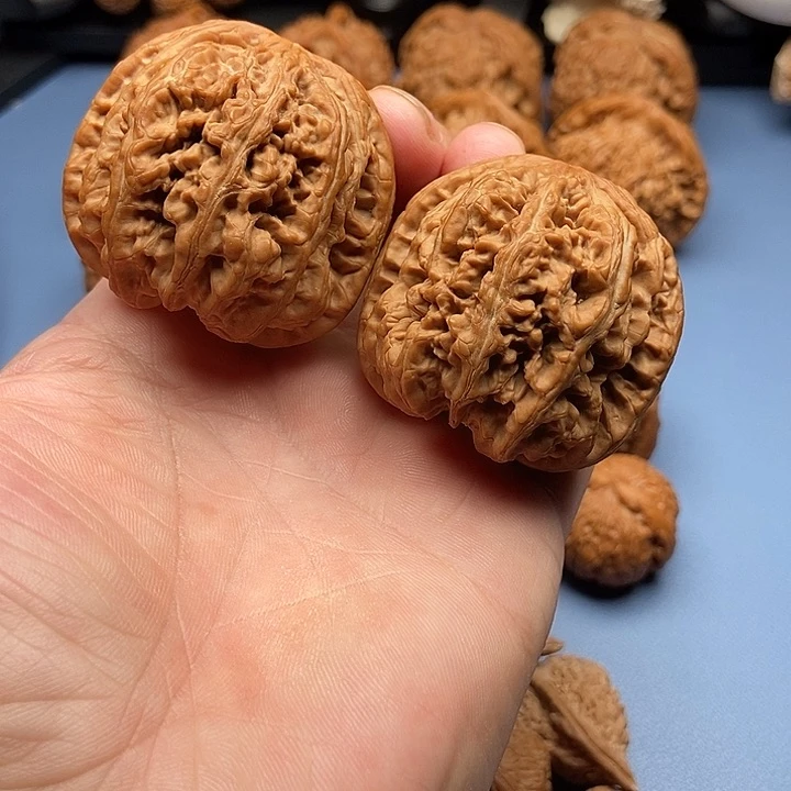 桃核把件无药大粗筋