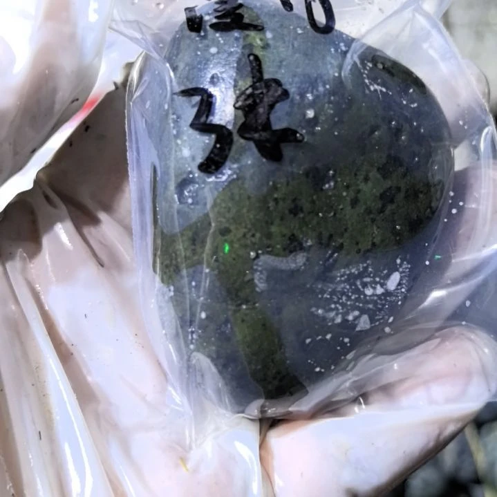 凌***月有机玻璃藏玉药王石原石手把件