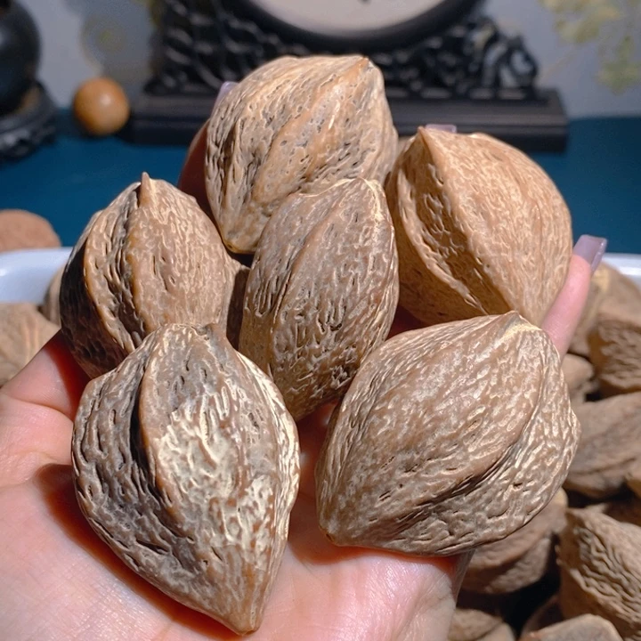 野生金蝉橄榄核把件6颗