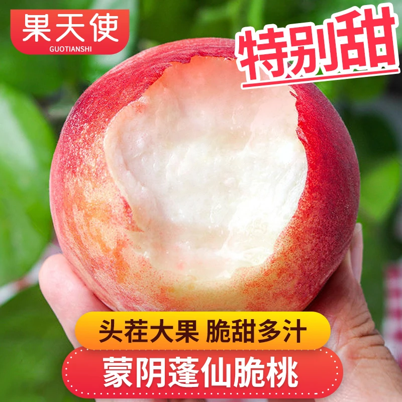 【果天使】山东蒙阴蓬仙蜜桃2-6.5斤香甜多汁新鲜应季水果桃子好吃