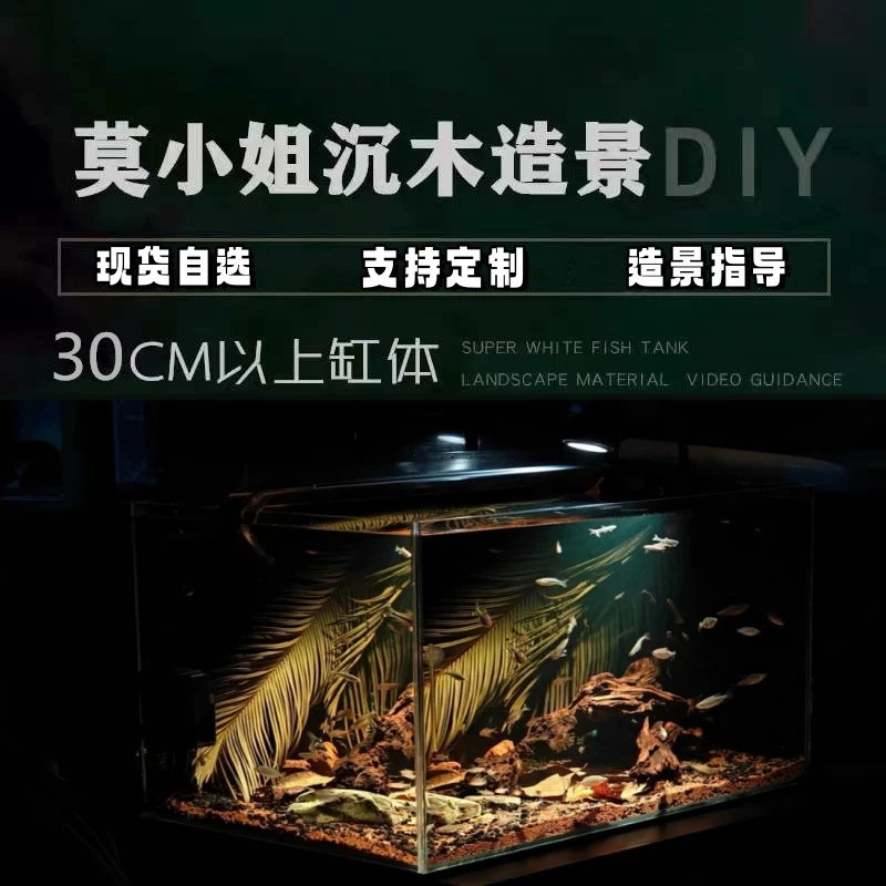莫小姐沉木造景鱼缸沉木