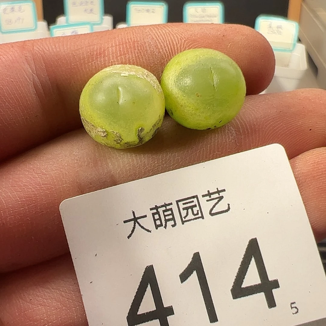 0000414 一物一拍……