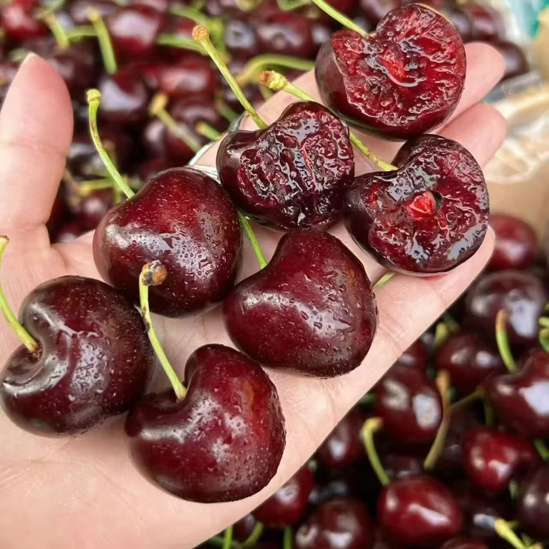 智利车厘子JD2.5/公斤海运智利