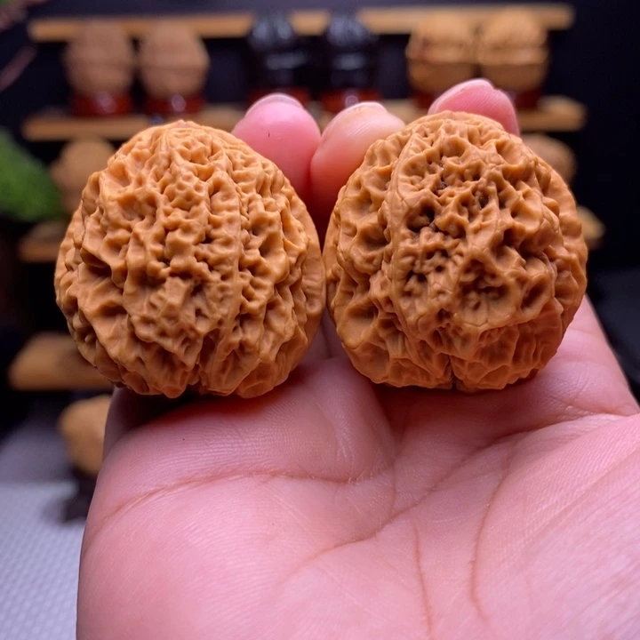 木质类云铁七星绣球11号