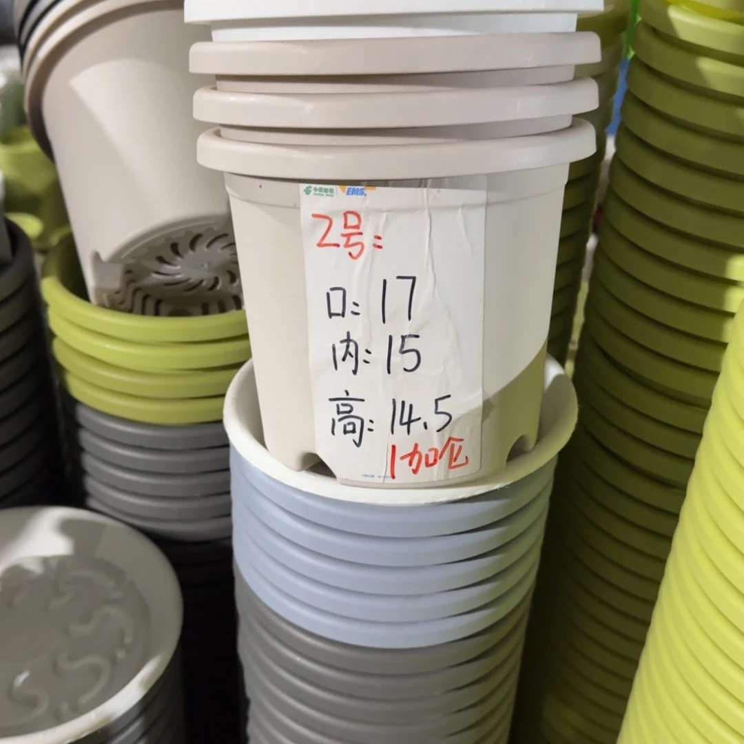 四季2#口径17带拖灰白6套