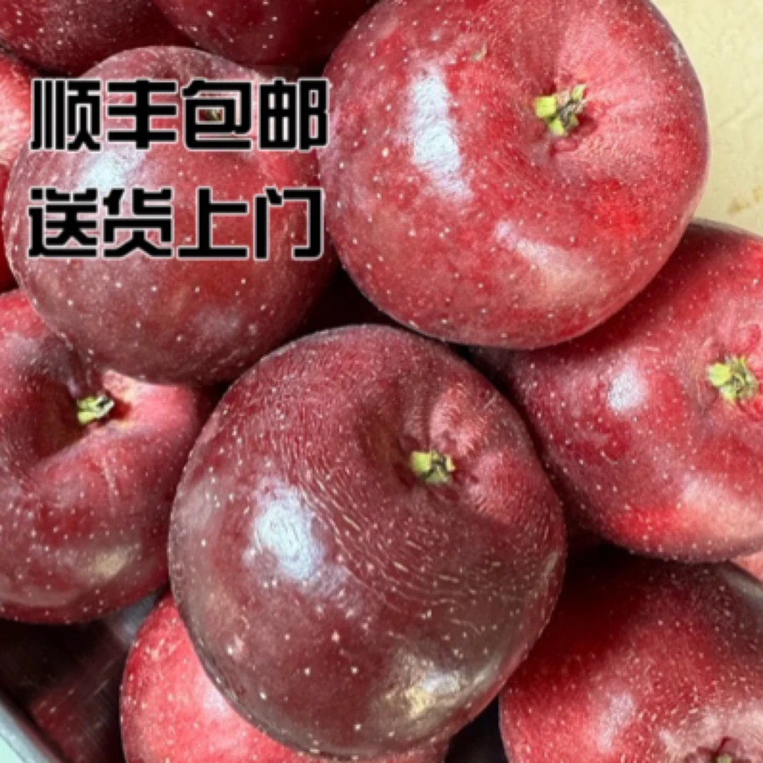 东北龙丰果大秋果龙秋果（大果）5斤【顺丰包邮】新鲜苹果