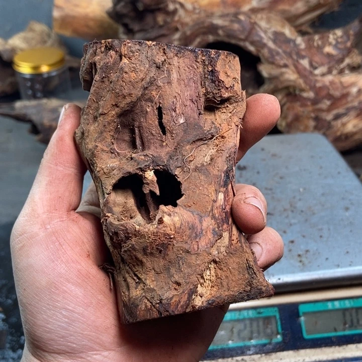 黄花梨/降香黄檀戴*