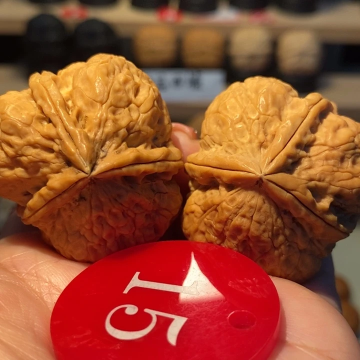 菩提籽类花开富贵三棱40尺寸